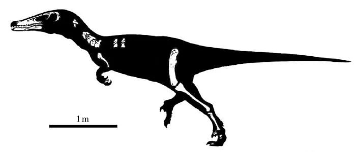 20110520083113austroraptor.jpg