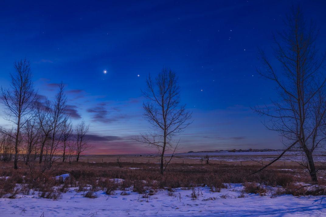 Spare trees and some grasses covered in snow at twilight, with a reddish and blue sunset behind and Venus and Jupiter shining as two bright spots low in the sky