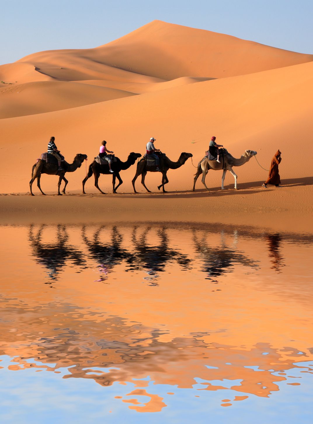 Riding camels in the Sahara