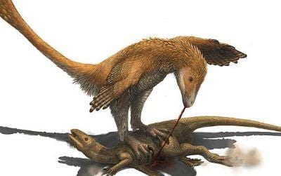 Did Deinonychus and other “raptors” use their foot claws to restrain prey?