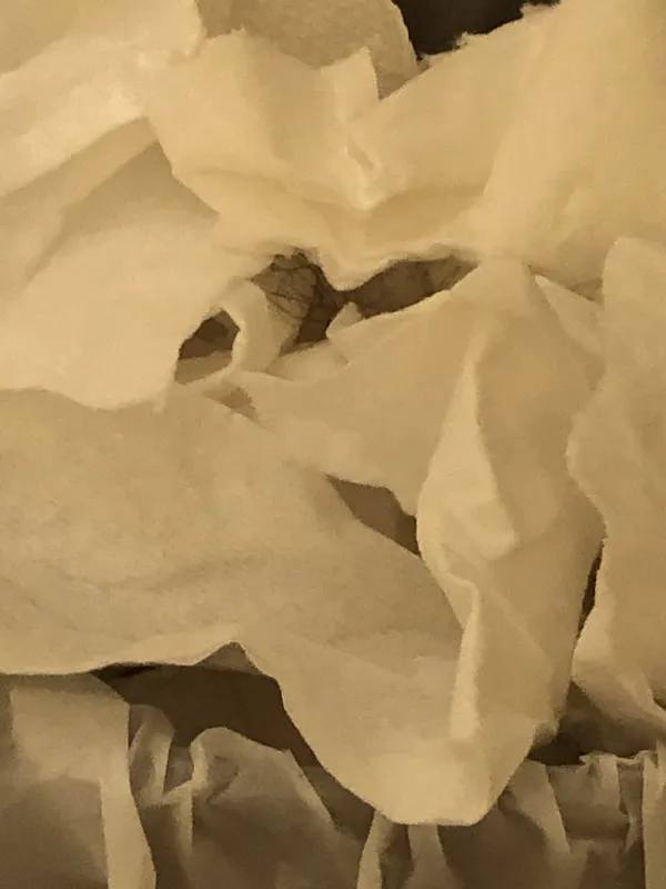 Tissue Flower in Plastic Ruffle thumbnail
