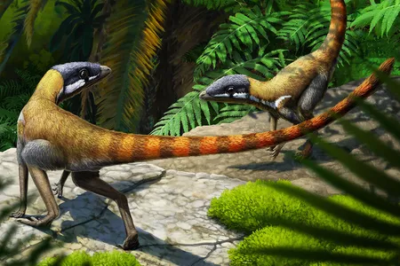 An artist&rsquo;s reconstruction of Scleromochlus taylori, an ancestor of pterosaurs