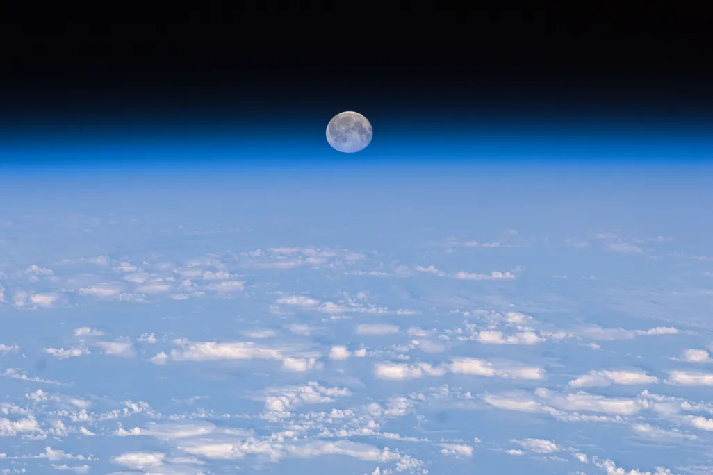 Moon Squashed