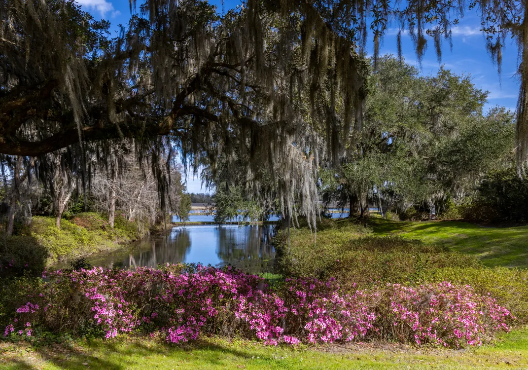 Touring Charleston’s Historic Past