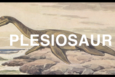 Was the Loch Ness Monster a Plesiosaur? Smithsonian paleontologist, Hans Sues, answers your questions in the National Museum of Natural History’s YouTube series, “The Doctor Is In.” (Smithsonian Institution)   