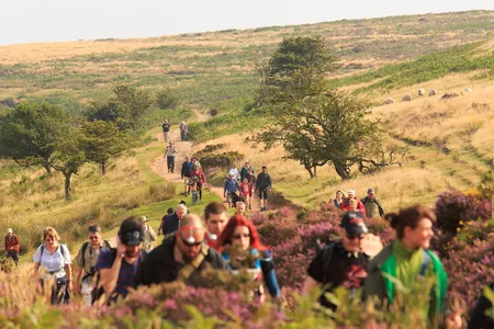 Going the distance: Evolution mavens in the Quantock Hills of England walked for some 3.5 billion years.
