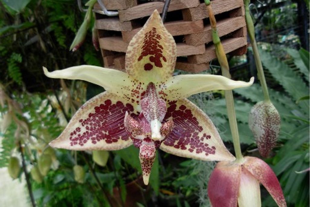 20110520110731embreea-resize.jpg