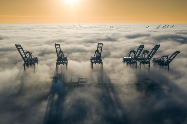 Cargo Container Cranes above the fog. thumbnail