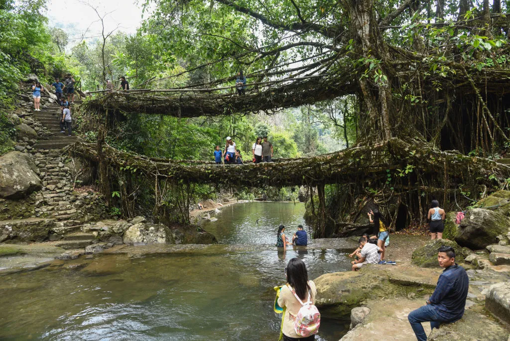 Double Decker living root bridge