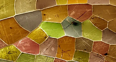 microscopic