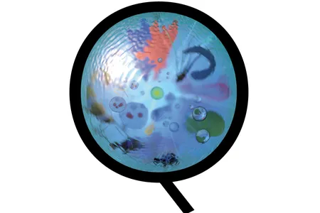 Can every living thing be traced to a single cell?