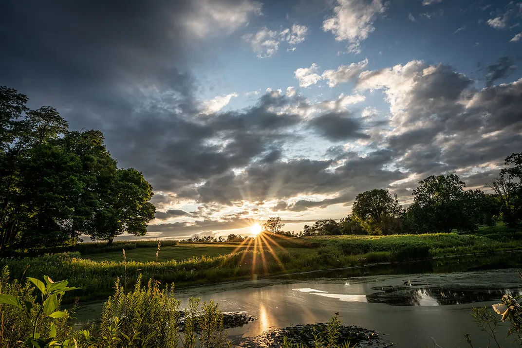 A  bucolic outdoor scene with a pond and the sun rising or setting on the horizon, visible rays radiating outward.