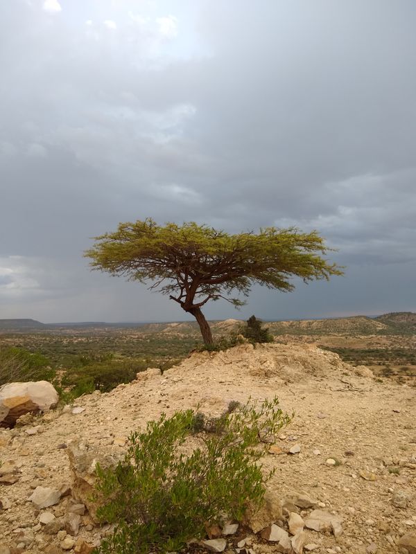 An overlook in Somaliland, Africa thumbnail