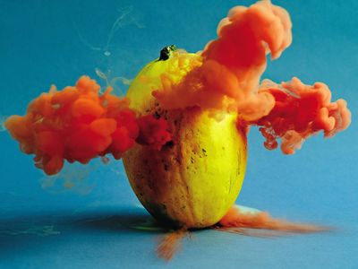 A spaghetti squash explodes with color. Maciek Jasik does not reveal his technique for making produce expel colorful smoke.