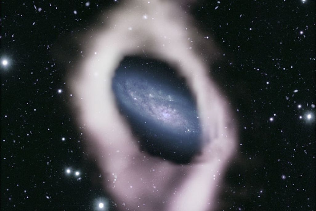 A blue main disk of a galaxy surrounded by a white ring of hydrogen gas.