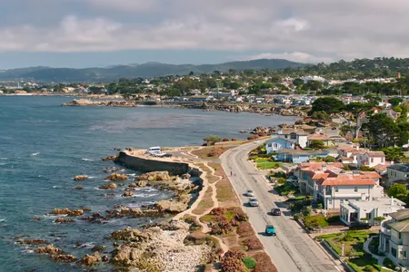 Perched on the southern edge of the picturesque Monterey Bay, Pacific Grove, California, is home to the Monarch Grove Sanctuary, one of the largest overwintering sites of monarch butterflies in the region.