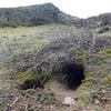 Burrowing Bunnies in Wales Unearth Trove of Prehistoric Artifacts icon