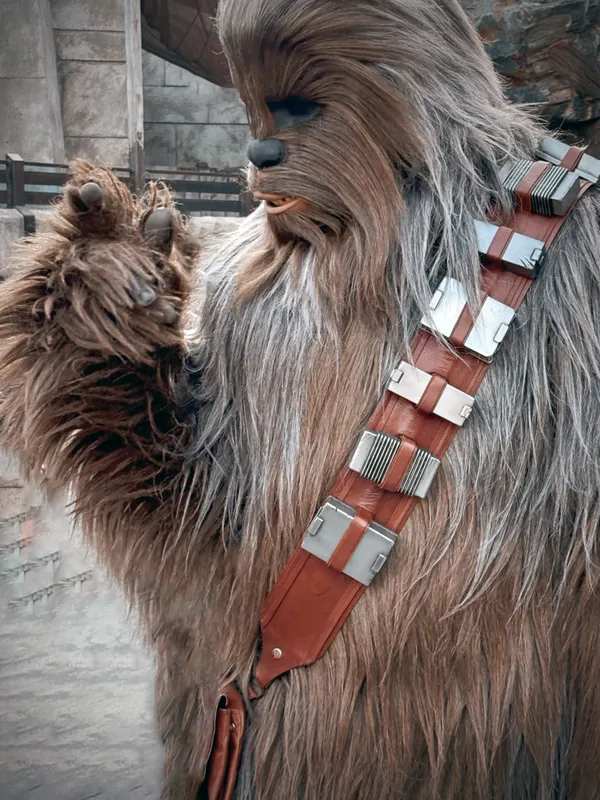 famous character chewbacca thumbnail