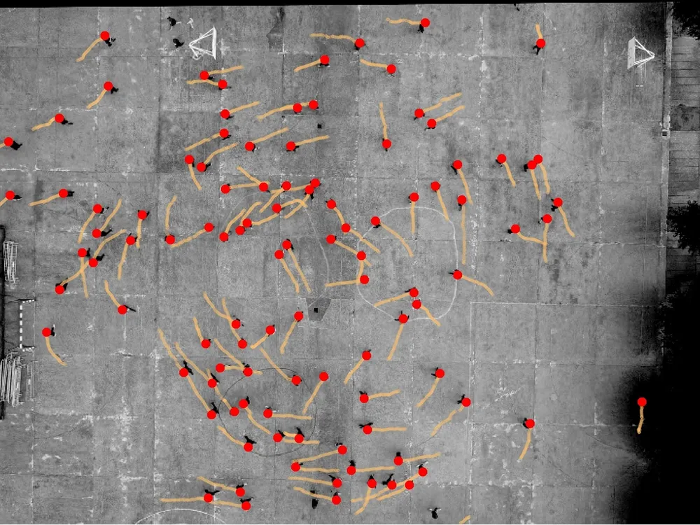 Researchers Accidentally Discover That Humans Prefer to Turn Counterclockwise. But They Still Have No Idea Why image