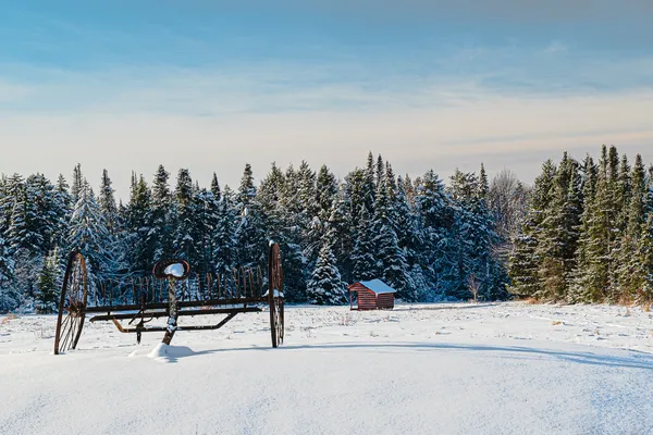 Hay Turner in a Snowy Field thumbnail