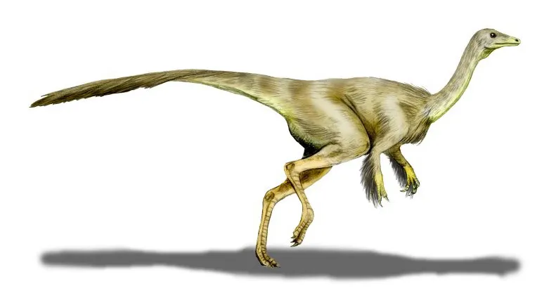 Struthiomimus