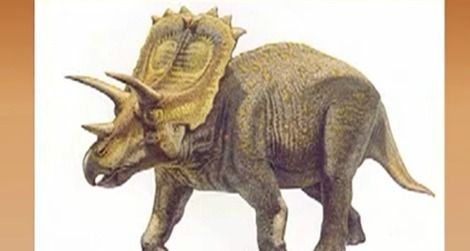 20120316085013anchiceratops-thumb.jpg