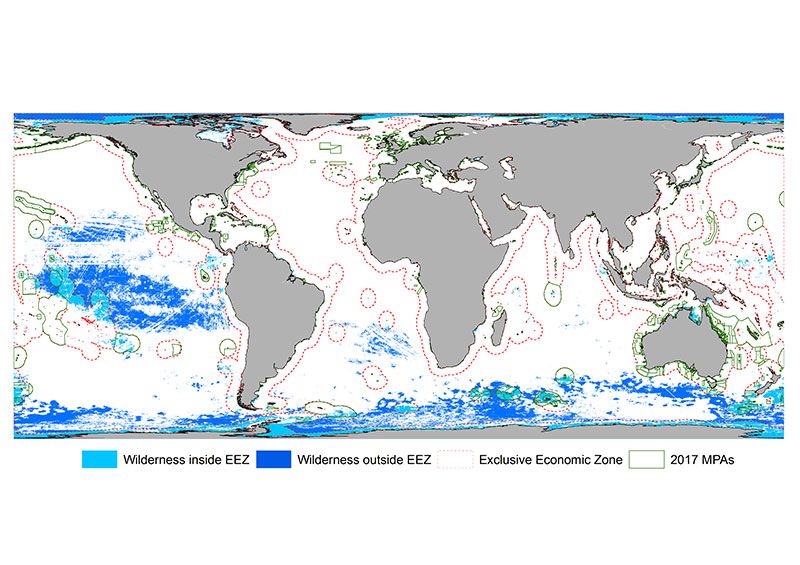 Why the Ocean Needs Wilderness