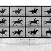 How a 19th-Century Photographer Made the First 'GIF' of a Galloping Horse icon