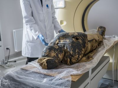 Scientists examine the first-known pregnant Egyptian mummy.