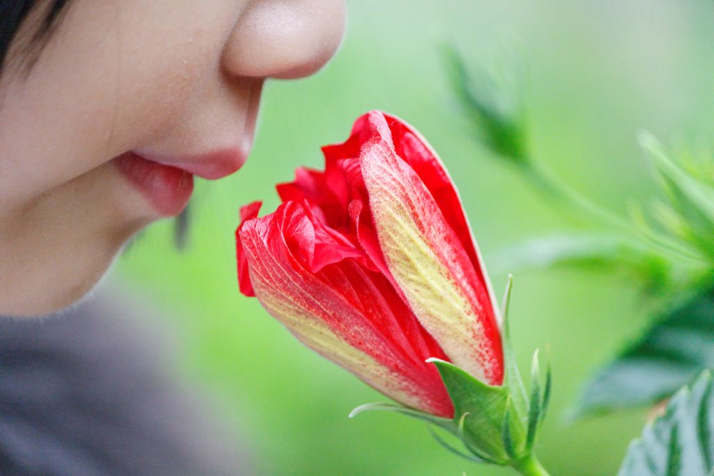 Kid smelling a flower