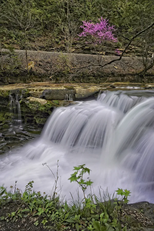 Dunloup Creek Falls thumbnail