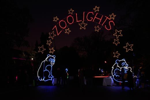 zoo_lights_2.jpg