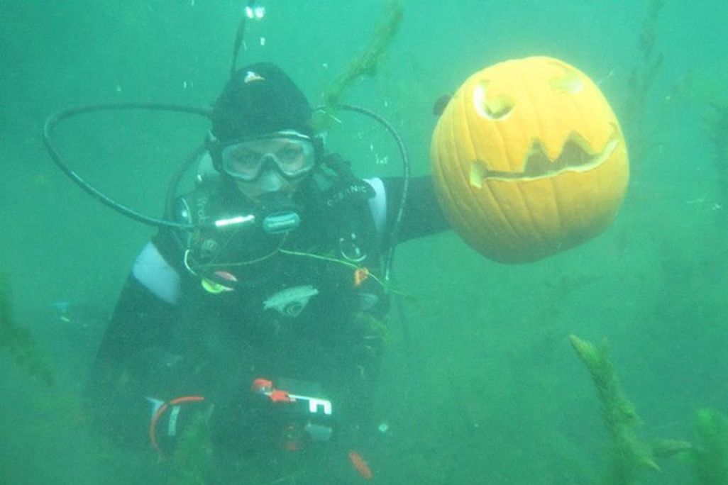 pumpkin