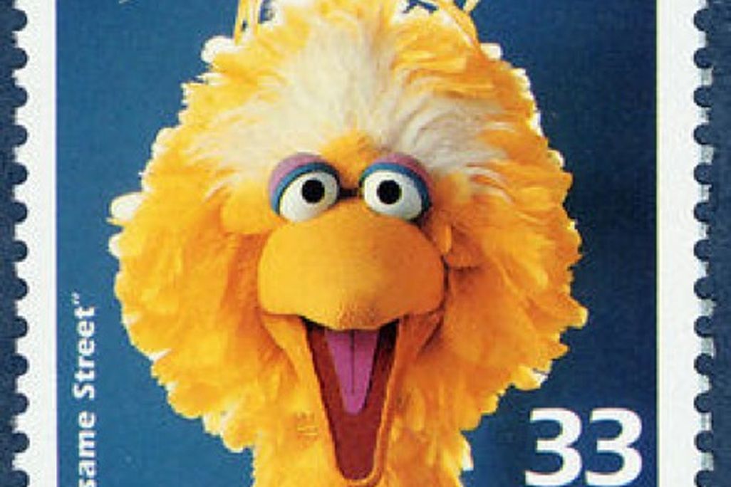 bigbird_PM_nov10.jpg