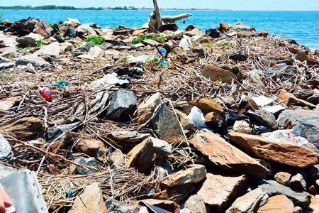 Dead Horse Bay gets its unsavory-sounding name from the numerous horse-rendering plants that operated along its marshy shoreline from the 1850s until the 1930s.