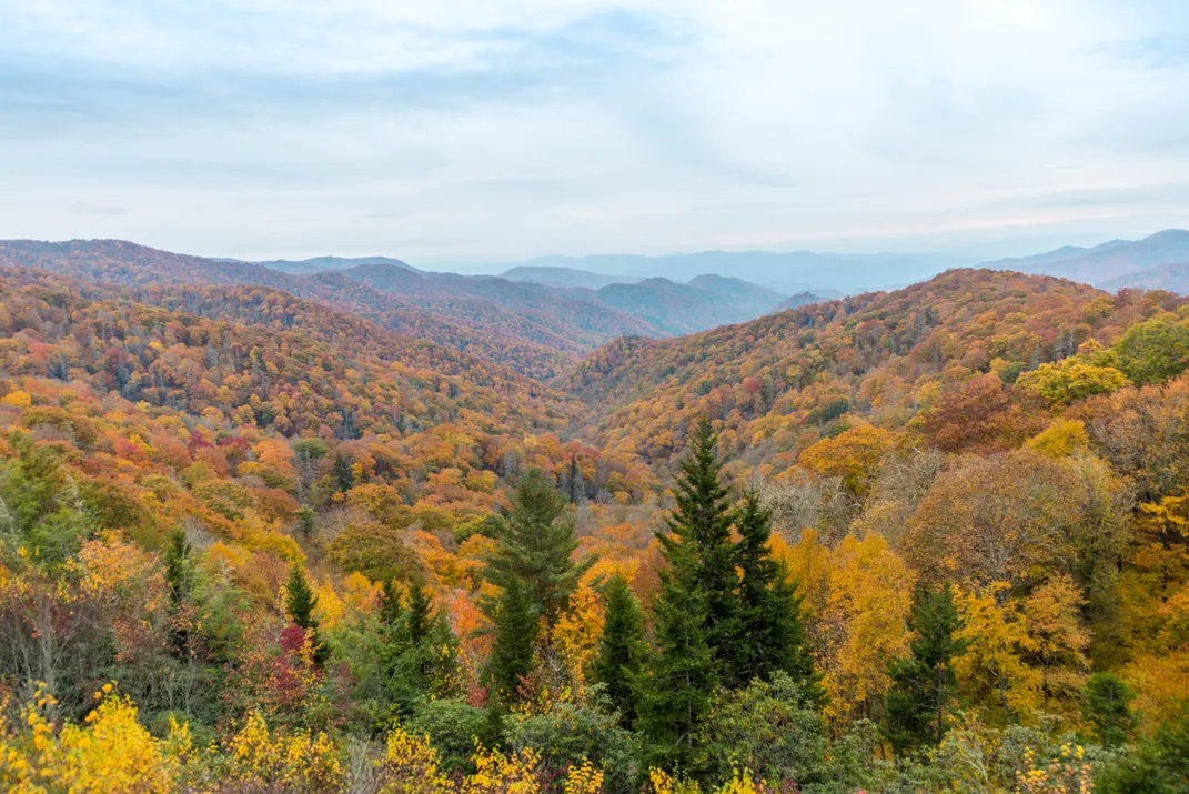 The Spectacular Fall Colors at the Great Smoky Mountains Smithsonian