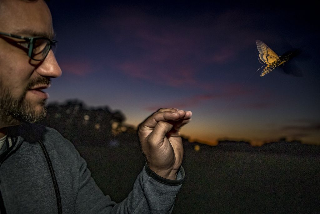 A man at night holds his hand out and a hawk moth flies nearby