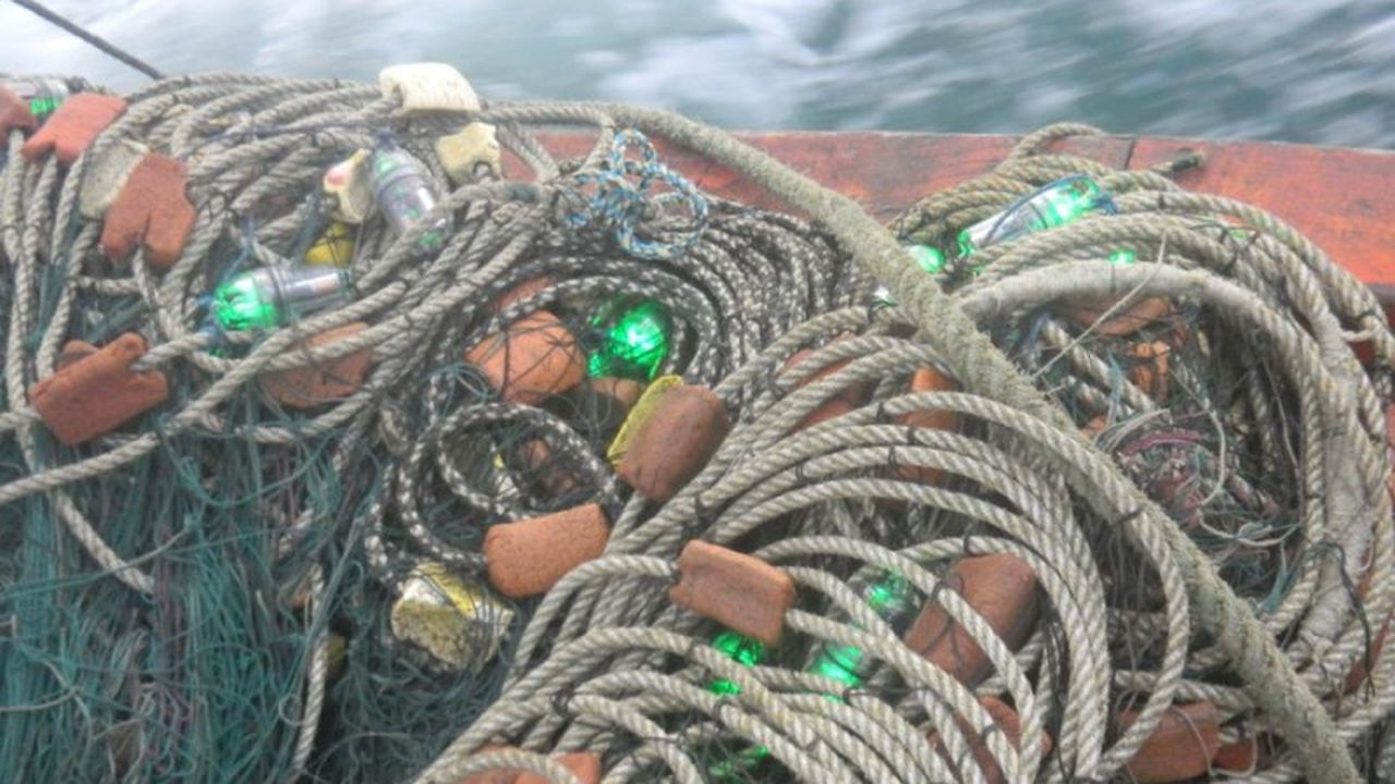 abercrombie and fitch fishing pole Lot