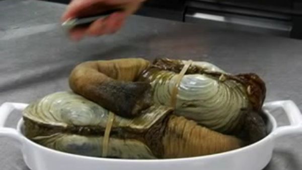 Preview thumbnail for Top Chef Shows How to Cook a Geoduck