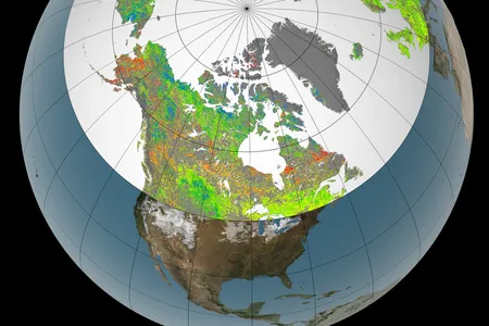 A map showing increasing (blue) and decreasing (red) plant growth over the past 30 years.
