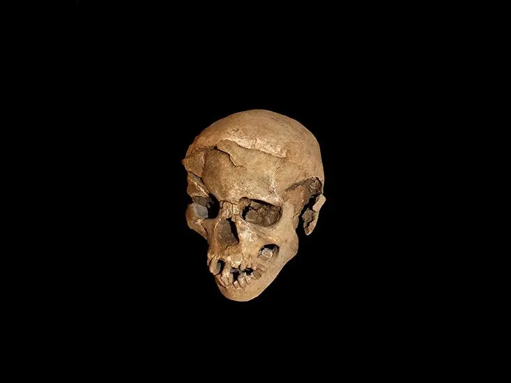 war-skull.jpg