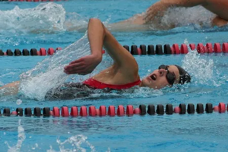 There are 14 different freestyle races in the Olympics, more than any other stroke.