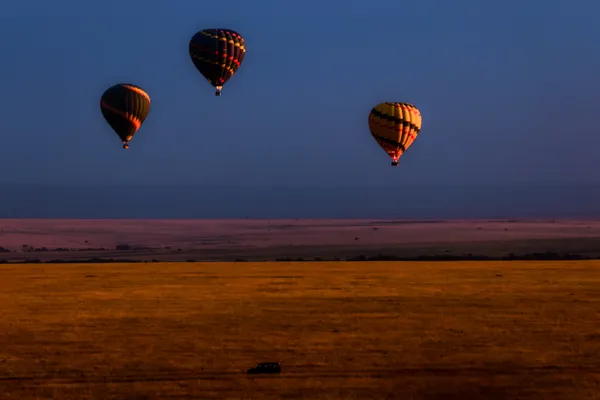 The moment the savannah wakes up thumbnail