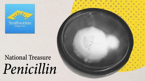 Preview thumbnail for National Treasure: The Mold Behind the Miracle of Penicillin