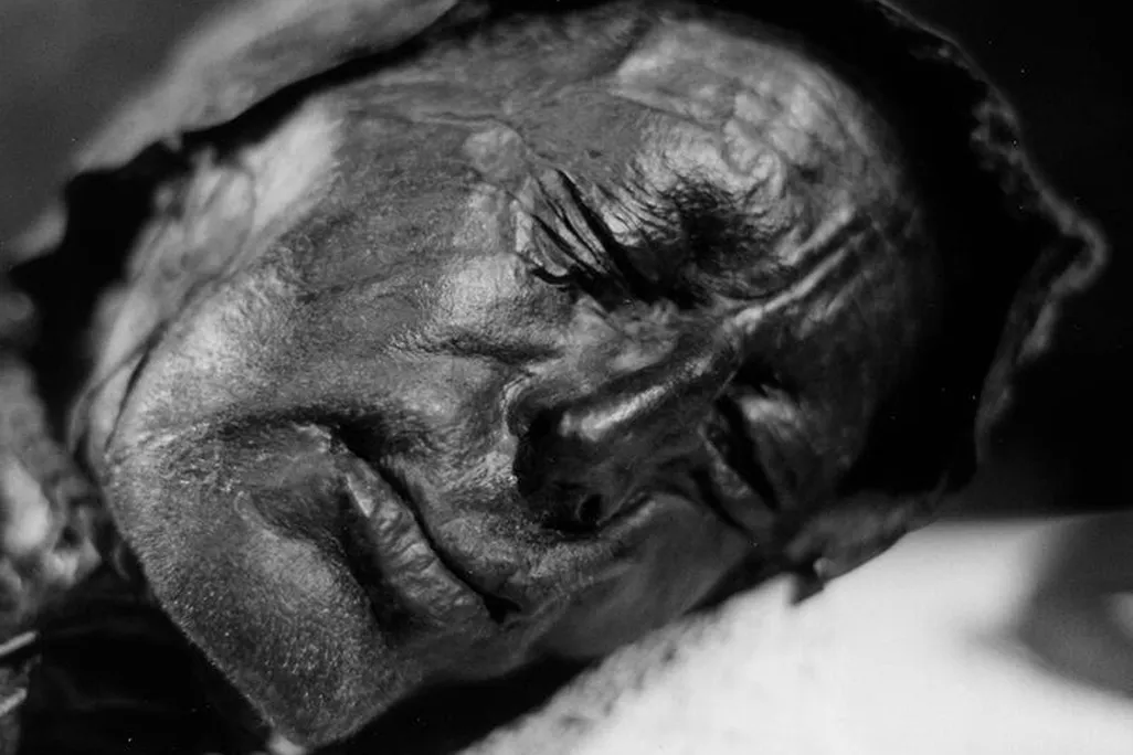 Tollund Man's face