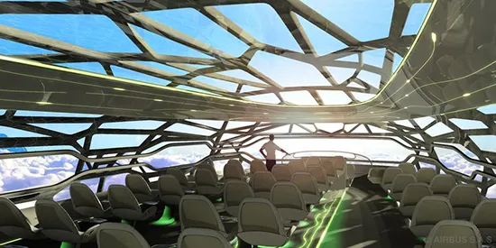 Performance enhancement of futuristic airplanes by nature inspired