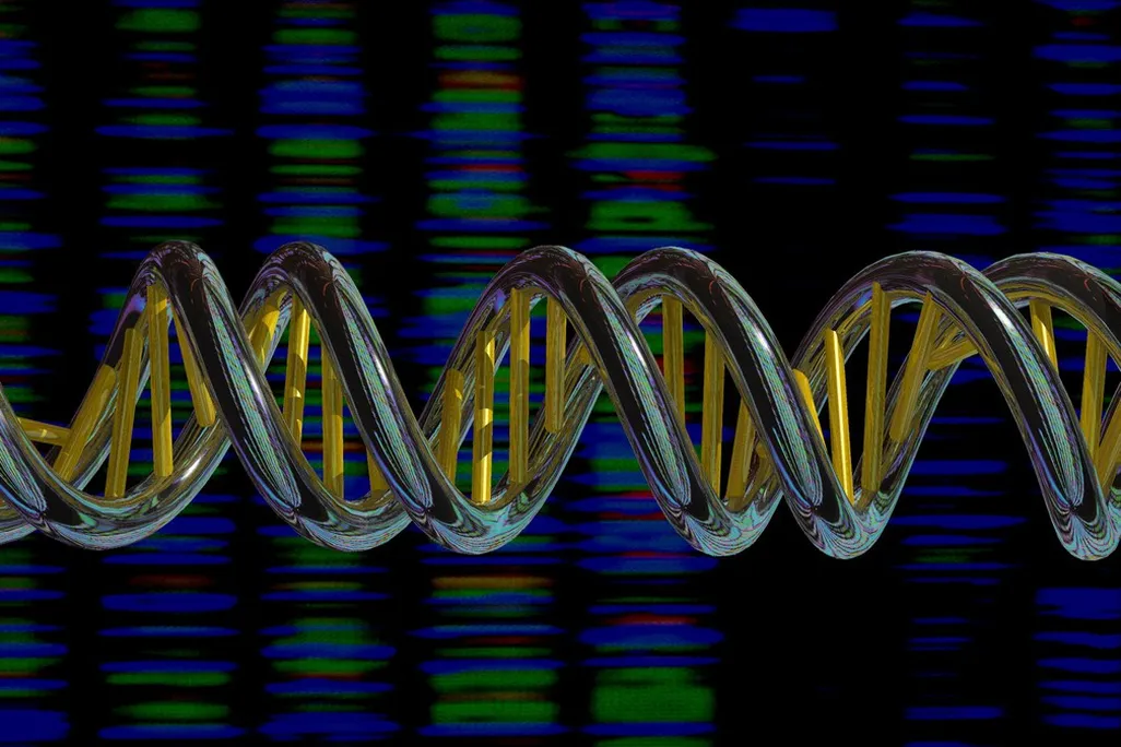 DNA