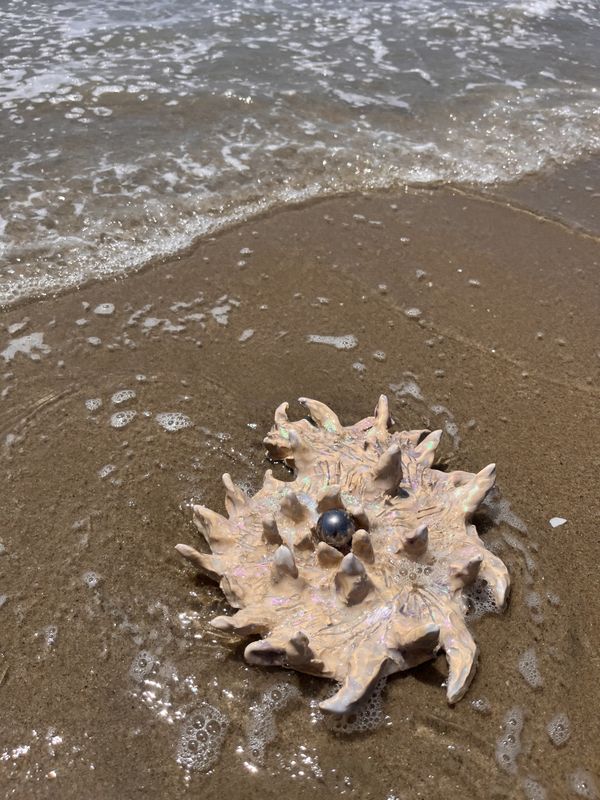 A sea creature on the beach of Los Angeles thumbnail