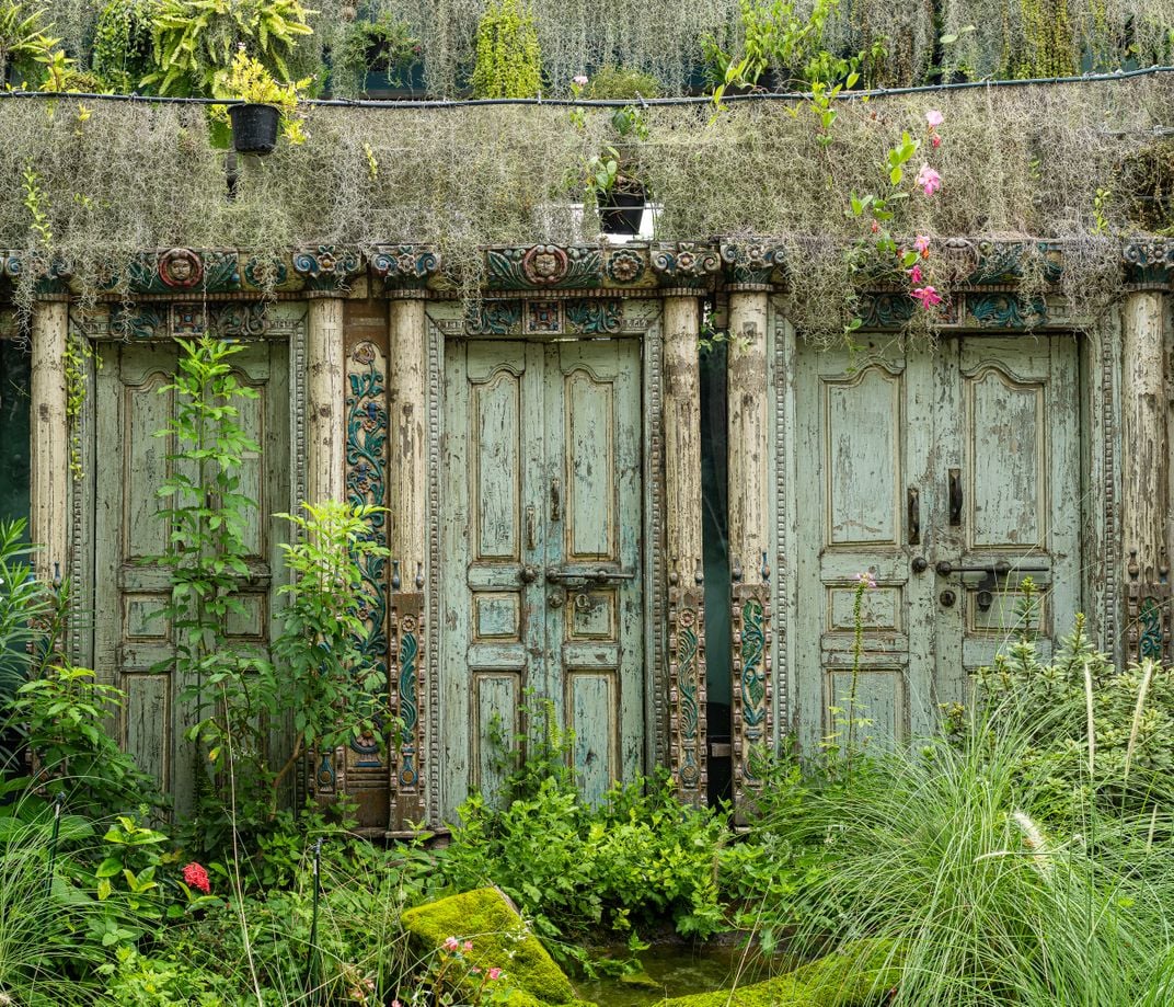 12 - Beautifully weathered doors, with stylish frames, and overgrown flora mark the entrance to a somewhat camouflaged home.