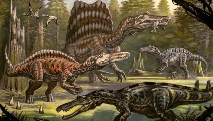 Was Spinosaurus Really a Hell Heron? Digging Into the Star of Netflix&rsquo;s The Dinosaurs